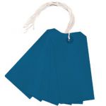 Strung Tag 120x60mm Blue (Pack of 1000) KF01625